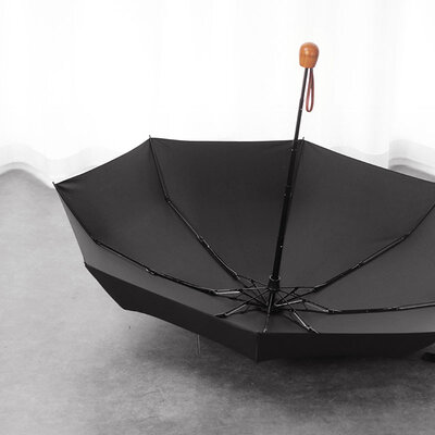 OLYCAT OC501-Q Luxury (Black)