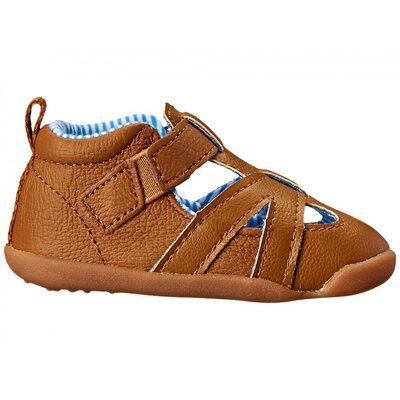 Carters Bristol-P2 19 (Brown)