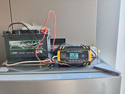 JYINS P-600/1200W 12V (pure sine wave)