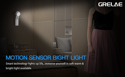 Ruoyang SL-919 (Warm)