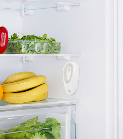 Enerfer Ozone Air Purifier (NJM02-B)