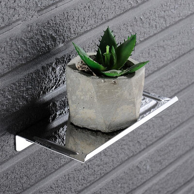 CanSteel D18 (10cm) SUS304 Mirror