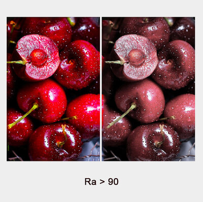 Pinton CNQG-1030T12 Mini 5W 3000K Black