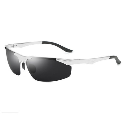Kasian K2206 Polarized Magnesium Silver