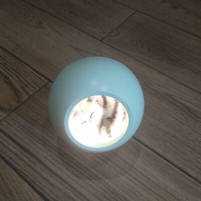 AngCan LJC-130 Green